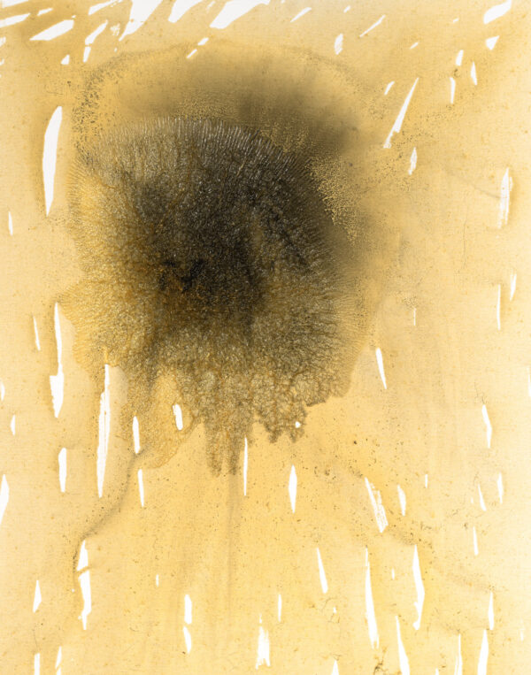 Obraz abstrakcyjny, złocisty, z czarną plamą