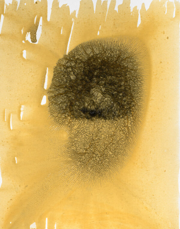 Obraz abstrakcyjny, złocisty, z czarną plamą