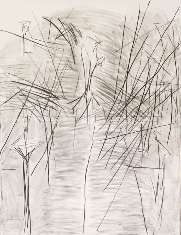 Ekspresyjny rysunek na białym płótnie