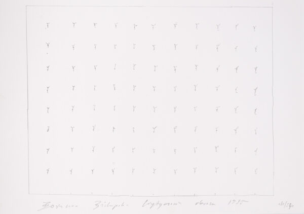 Schematyczny rysunek zmultiplikowanej figury w układzie pionowym